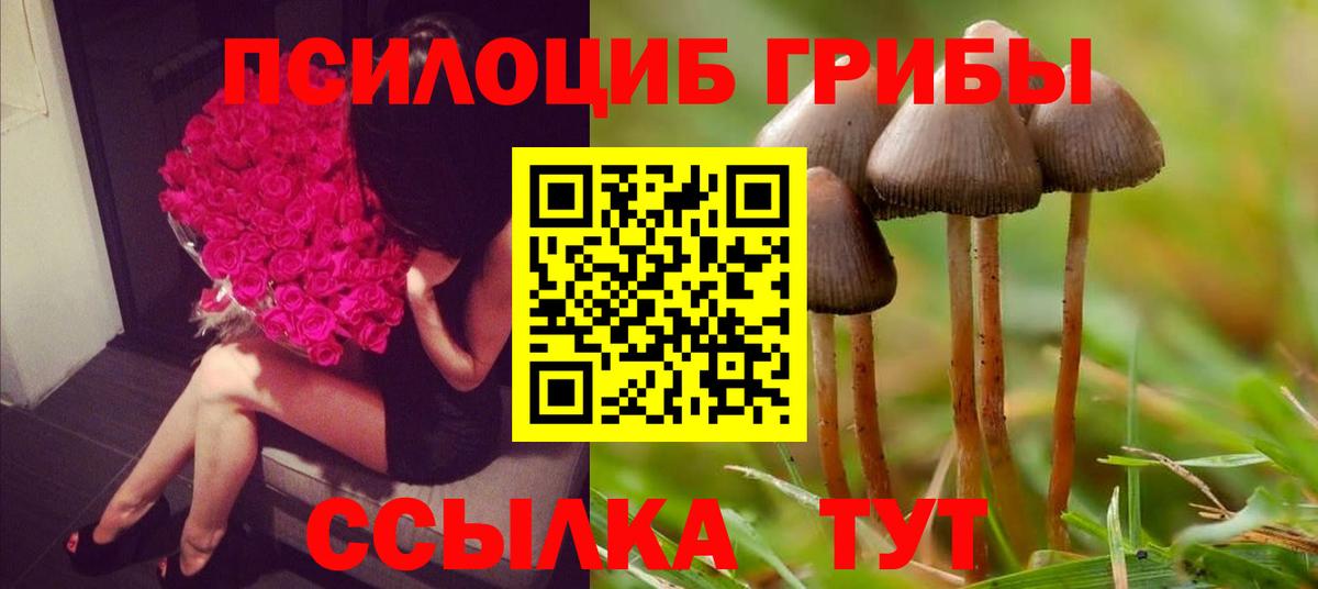 Псилоцибиновые грибы мухоморы Менделеевск
