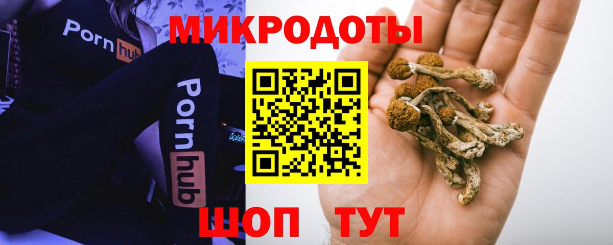 Галлюциногенные грибы мицелий  Вход с VPN  Менделеевск 